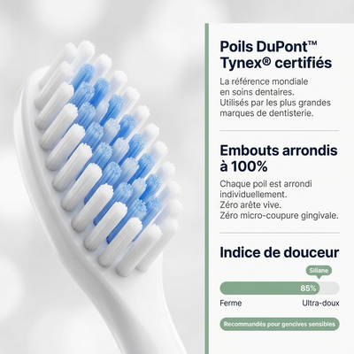 Tête de brosse